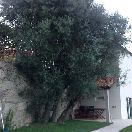 منزل ريفي Mountain With Swimming Pool *